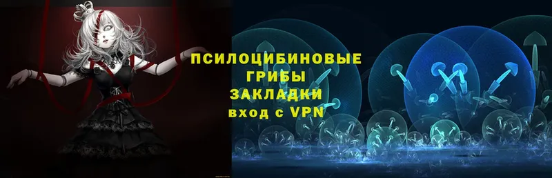 Псилоцибиновые грибы мухоморы  купить наркотики сайты  Татарск 